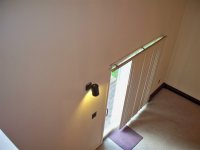 57 Silver Birch