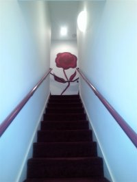 300 Grove