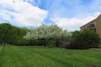 125 Hoadley