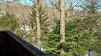 19 Roaring Brook