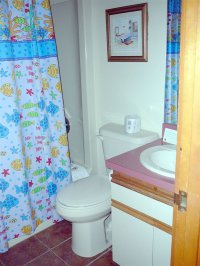 532 East Mountain Trail Creek