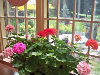 976 Meadow Lake