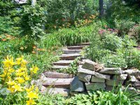 976 Meadow Lake