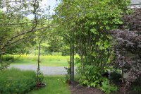 154 Deer Brook
