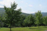154 Deer Brook
