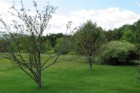 154 Deer Brook