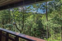 807 Maple Hill Great Hawk