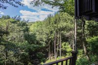 807 Maple Hill Great Hawk