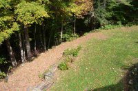 1534 Scout Camp