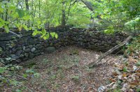 1534 Scout Camp