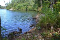 1534 Scout Camp