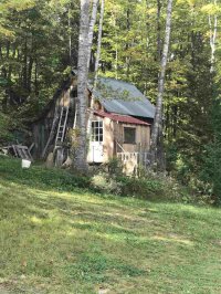 343 Lone Pine