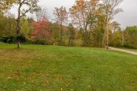 11 Wayside