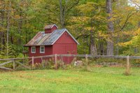 11 Wayside