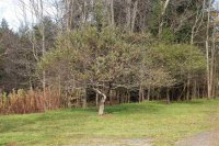 3369 Hartland Hill