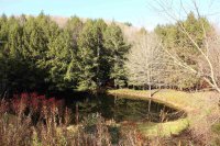 3369 Hartland Hill