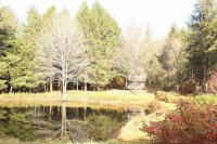 3369 Hartland Hill