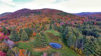 1723 Hale Hollow