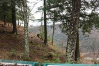 598 Vulture Mountain