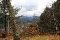 598 Vulture Mountain