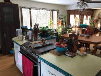 231 Mendon View