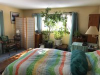 231 Mendon View