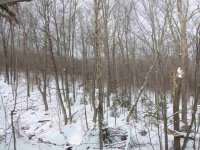 259 Old Mill Pinnacle