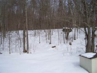 102 Chittenden