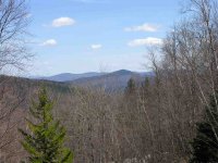26 Bear Run