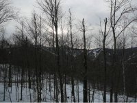 19 High Ridge