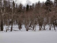 532 East Mountain