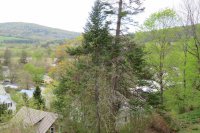 4 Highland