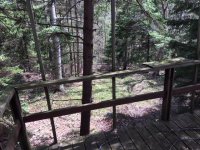172 Old Log