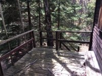 172 Old Log