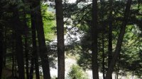 6905 Evergreen