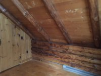 6905 Evergreen