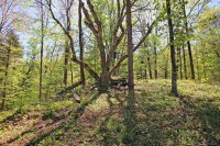 3315 Lynds Hill