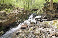 3315 Lynds Hill
