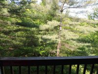 907 East Mountain