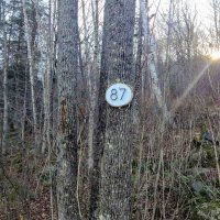 87 Bear Hill
