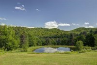 936 Brandon Mountain
