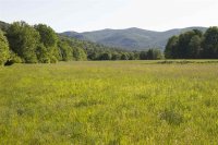936 Brandon Mountain