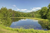 936 Brandon Mountain