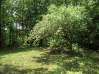 115 Doe Hill