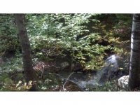846 Quarry