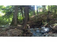 846 Quarry