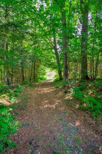 433 Cowdrey Path