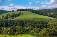 264 Z Blake Hill
