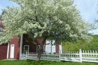 2876 Hartland Hill