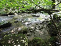 2839 Furnace Brook